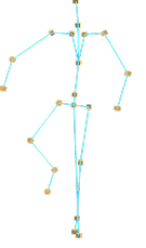 Human motion skeleton data
